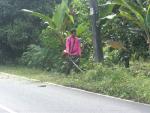 วัน Big Cleaning Day ทุกวันศุกร์ พรุชนเหนือ-พรุชนใต้ บางส่ว